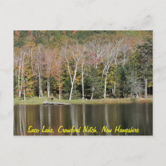 Reflections on Saco Lake Postcard