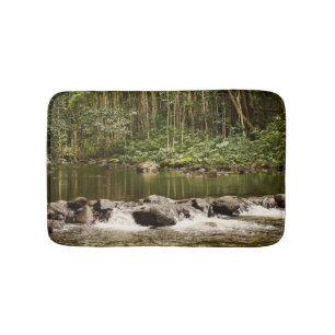 Reflections on the Water Bath Mat