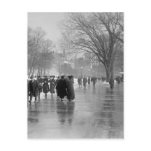 Reflections On Wet Pavement