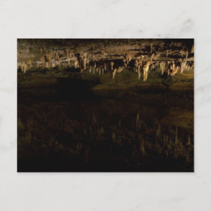 Reflections Postcard