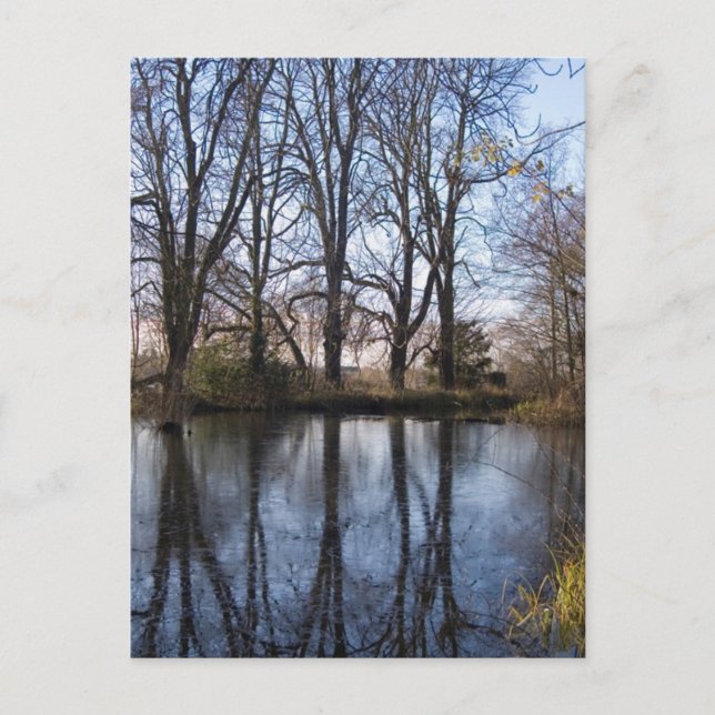 Reflections Postcard #1 (Front)