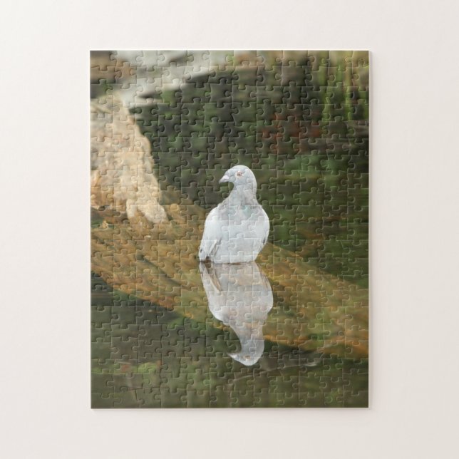 Reflections Puzzle (Vertical)