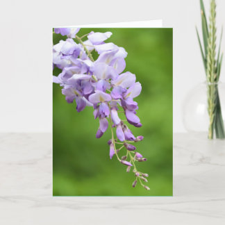 Reflections Wisteria Holiday Card