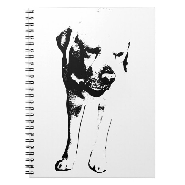 Reflections with a Friend Notebook (Front)