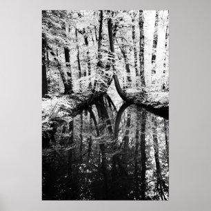 Reflective Contrast wapcn Poster