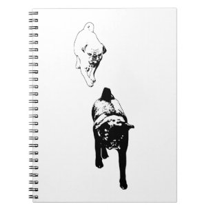 Reflective Duo, Calm Winter Notes Notebook