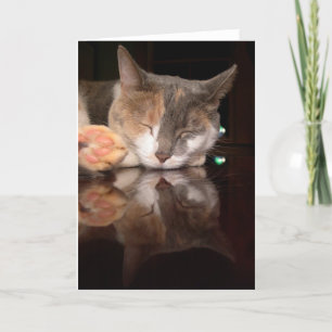 Reflective Kitty Card
