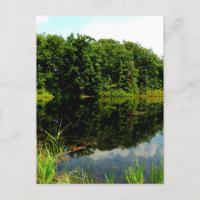 Reflective Ponds