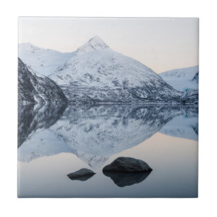 Reflective Portage Lake Ceramic Tile