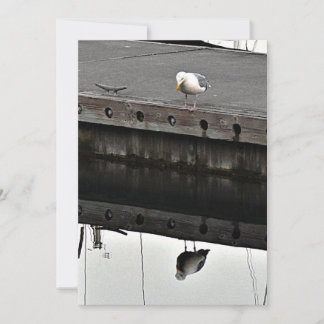 reflective Seagull Invitation