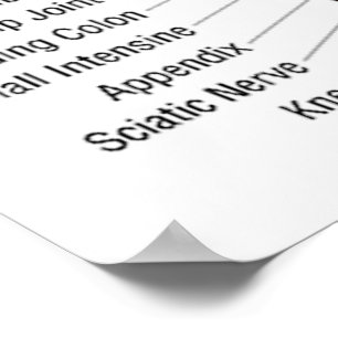 Reflexology Chart 30X40"