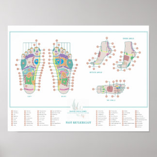 Reflexology Foot Chart