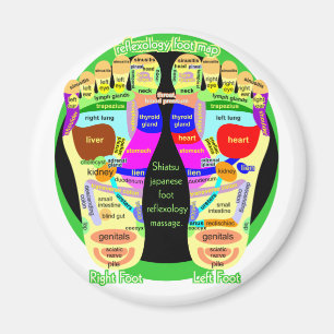 reflexology foot map magnet