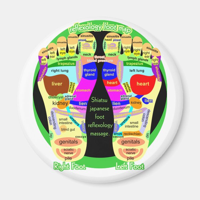 reflexology foot map magnet (Front)