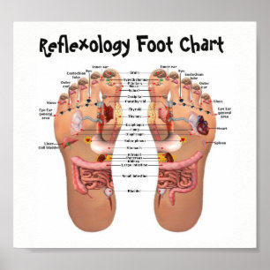 reflexology poster