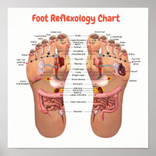 reflexology poster
