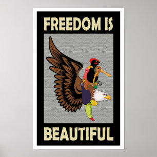 Refreshing colourful birds flying poster