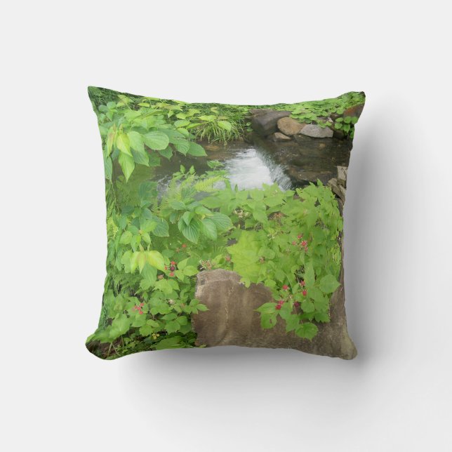 Refreshing View Throw Pillow (Front)