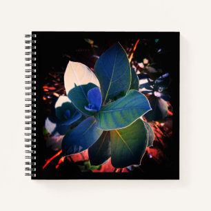 Refreshment notebook