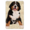 Refrigerator Magnet 4 x 6 Dog's Photo Template