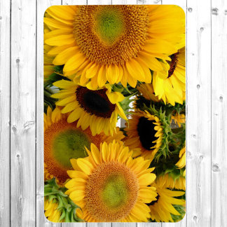 Refrigerator Magnet 4 x 6 Kid's Photo Template