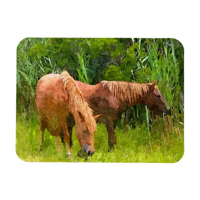 Refrigerator Magnet Assateague Wild Horses (Horizontal)