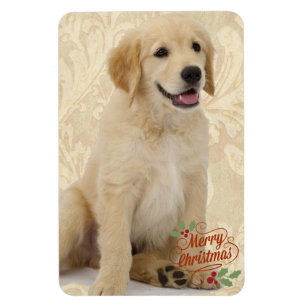 Refrigerator Magnet Pet's Photo Template Christmas