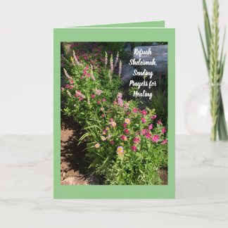 Refuah Sheleimah, Send Healing Card