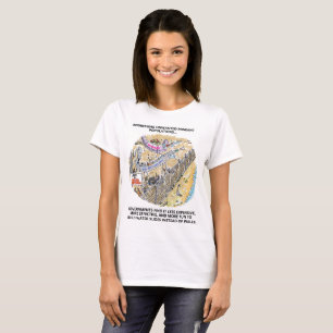 Refugee Water Slides women T-shirt
