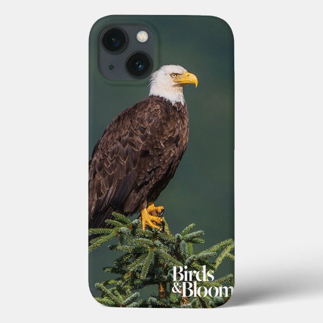 Regal Bald Eagle Case-Mate iPhone Case (Back)