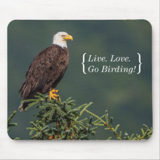 Regal Bald Eagle Mouse Pad