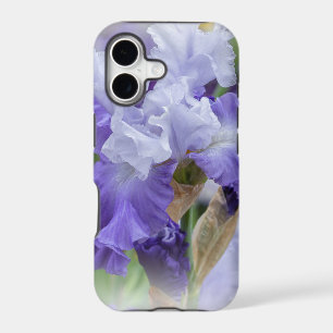 Regal Bearded Iris - Purple & White