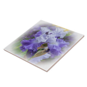 Regal Bearded Iris - Purple & White Ceramic Tile
