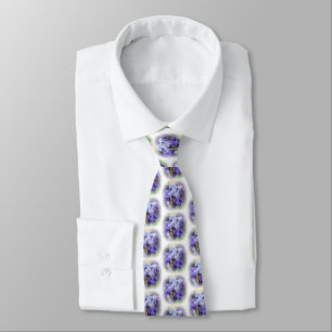 Regal Bearded Iris - Purple & White Tie