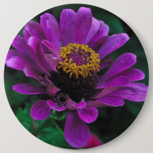 Regal Beauty 6 Cm Round Badge