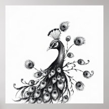 Regal Beauty: Peacock Charcoal Art