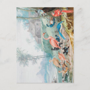 Regal Birds Postcard
