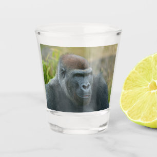 Regal Blackback Gorilla Shot Glass