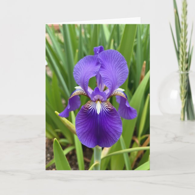 Regal Bloom Mothers Day Card (Front)
