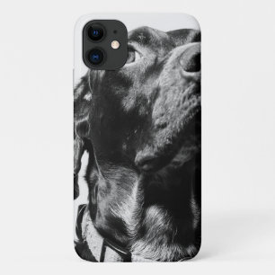 regal bw dog iPhone 11 case