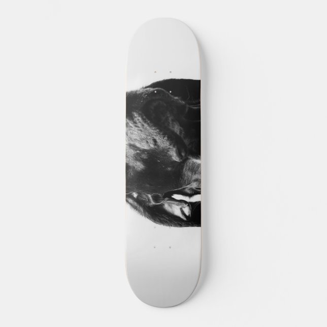 regal bw dog skateboard (Front)