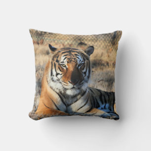 Regal Cushion