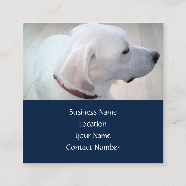 Regal Cute White Labrador Mix Dog Profile Blue Square Business Card (Front)