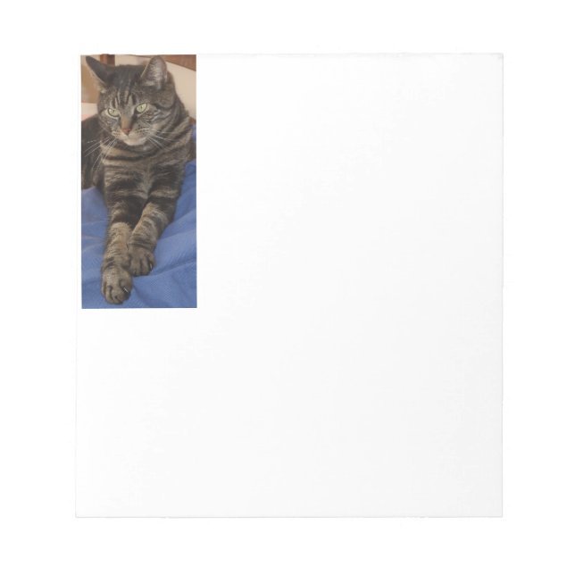 Regal Dave 40 Page Notepad (Front)