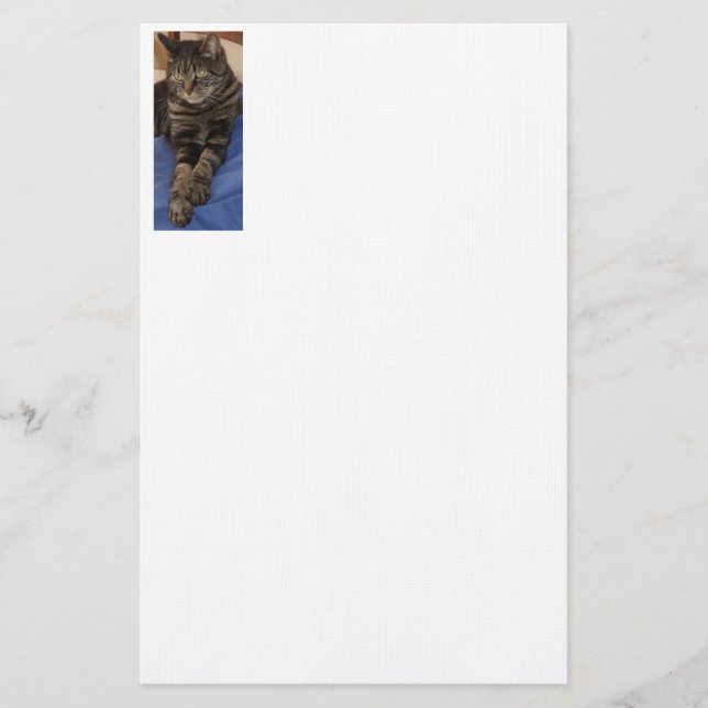 Regal Dave 5.5" x 8.5" Stationery (Front)