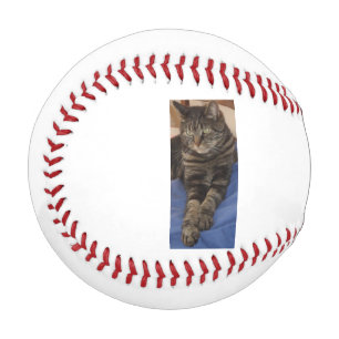 Regal Dave Baseball