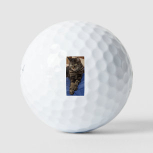 Regal Dave Bridgestone e6 Golf Ball