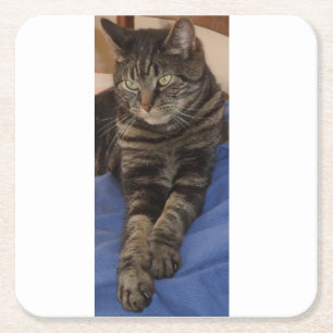 Regal Dave Custom Costers Square Paper Coaster