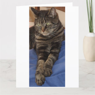 Regal Dave Large Greeting Cards