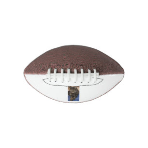 Regal Dave Mini Football
